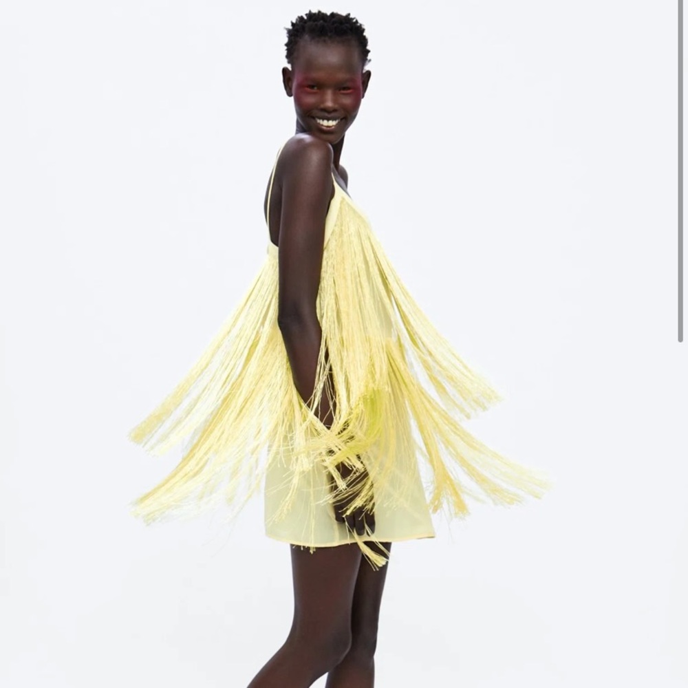 ISO ZARA FRINGE DRESS